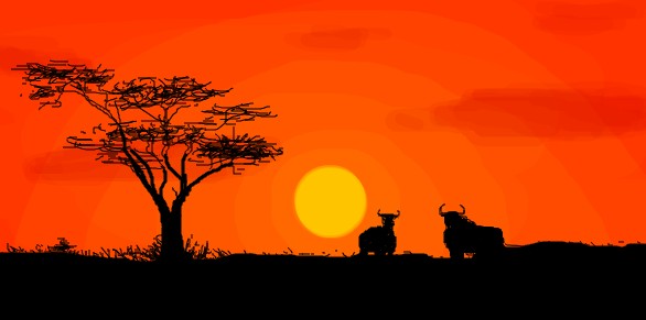Sunset